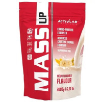 Mass Up 3000 g. Activlab