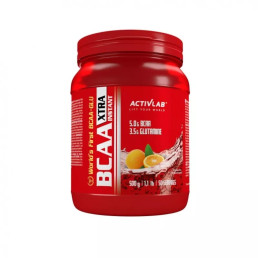 BCAA Xtra + L-glutamine Instant 500 g. Activlab