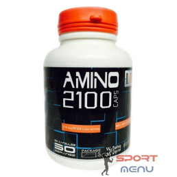 Амінокислоти Amino 2100 90 caps DL Nutrition