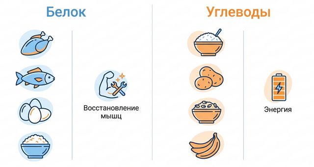Інфографіка: роль білка та вуглеводів у харчуванні після тренування